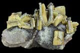 Sandwich Wulfenite Crystal Cluster - Ojuela Mine, Mexico #103498-1